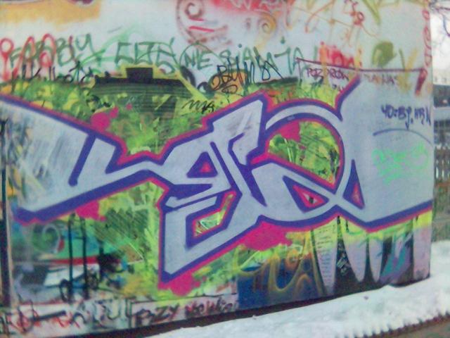 Bj hrn skate park